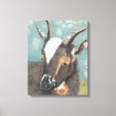 Search for animals canvas prints Whimsy