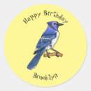 Search for jay bird stickers Cyanocitta cristata