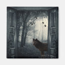 Search for haunted magnets Ravens
