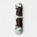 Search for cow skateboards Nature