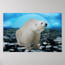 Search for save polar bears posters Environment