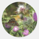 Search for butterfly photo stickers Pink