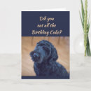 Search for black dog birthday cake Cute