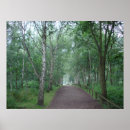 Search for robin art Forest