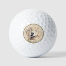 Search for golden retriever golf balls Puppy