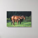 Search for thoroughbred canvas prints Horse