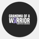 Search for fibromyalgia warrior stickers Invisible disability