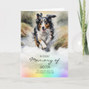 Search for collie puppy cards Dog