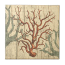 Search for coral reef tiles Nature