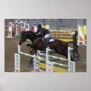 Search for hunter horse posters Jumping