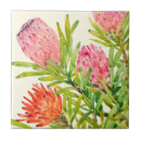 Search for tropics tiles Flowers