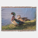 Search for danita delimont blankets Lake