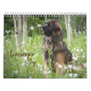 Search for leonberger Dog