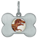 Search for dinosaur pet tags Kids