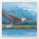 Search for eagle coasters America