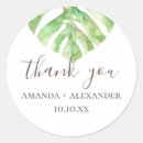 Search for monstera stickers Exotic