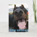 Search for cropped cards Doberman