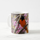 Search for baltimore orioles mugs Nature