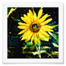 Search for 6x6 posters Yellow