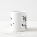 Search for huskies home living Siberian husky dog