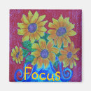 Search for focus magnets Sun