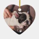 Search for pet name christmas tree decorations Script