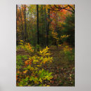 Search for deciduous posters Tree