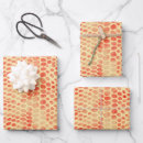 Search for snake print wrapping paper Reptile