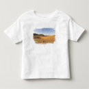 Search for sahara desert tshirts Nature