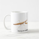 Search for mantis mugs Insect