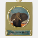 Search for endangered christmas tree decorations Nature