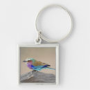 Search for breasted key rings Nature