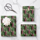 Search for pine cone wrapping paper Tree