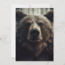 Search for grizzly invitations Animal