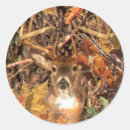 Search for white tail deer stickers Hunting
