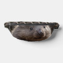 Search for baby bum bags Wildlife