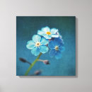 Search for forget photography Blue flowers