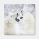 Search for confrontational magnets Friendship