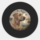 Search for hunting dog stickers Wildlife
