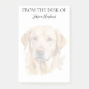 Search for yellow post it notes Dog