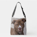 Search for pit bags Animals