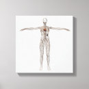 Search for female body canvas prints 3d