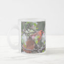 Search for male cardinal mugs Nature