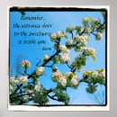 Search for wise quote posters Spiritual