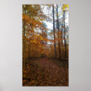 Search for colorful fall posters Autumn leaves