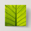 Search for veins badges Green