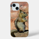 Search for squirrel iphone cases Chipmunk