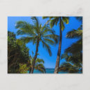 Search for sea green postcards Coastline