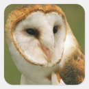 Search for bush gear stickers Close up