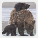 Search for bear lake stickers Usa